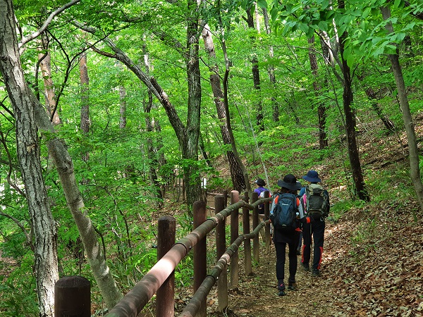 [여행] 산청 지리산 대원사 계곡길...생태·자연 즐기는 힐링 명소