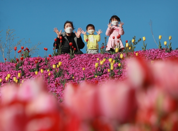 [포토뉴스] 형형색색 꽃 피운 함양생태체험장