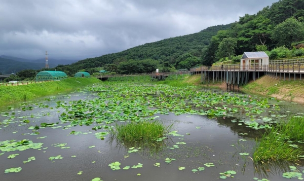 양산시, 본법마을 생태공원 조성사업 준공