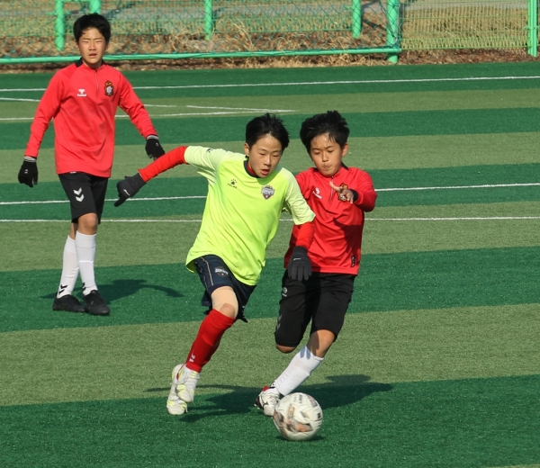 함안 아라가야 유소년 축구 페스티벌 개최